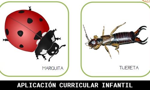 Actividad sobre la biodiversidad en la Red de Huertos Escolares Sostenibles de Madrid
