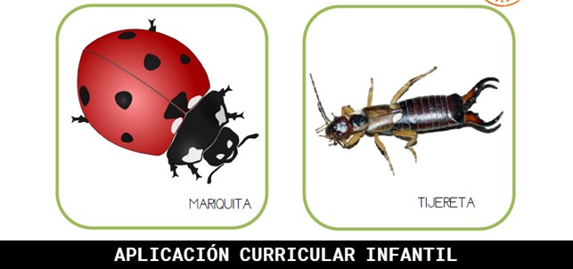 Actividad sobre la biodiversidad en la Red de Huertos Escolares Sostenibles de Madrid