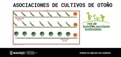 Asociaciones de cultivos de otoño