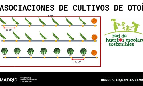 Asociaciones de cultivos de otoño