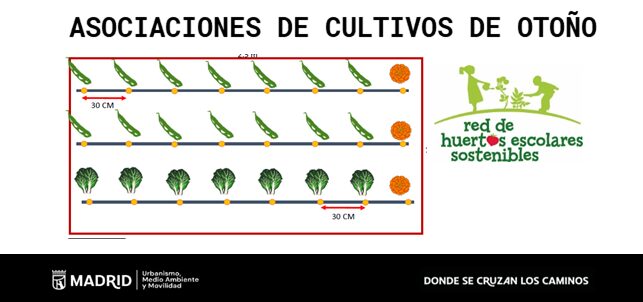 Asociaciones de cultivos de otoño