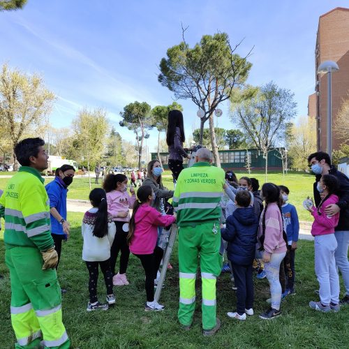 Alumnos del Colegio Público Martínez Montañés del distrito de Moratalaz participan en una plantación de árboles