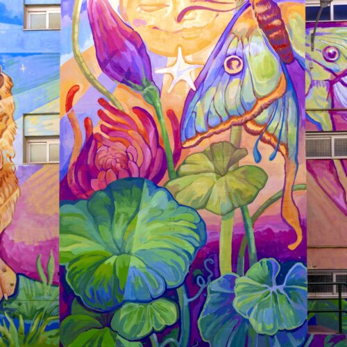 Detalle de las plantas y la mariposa isabelina del mural