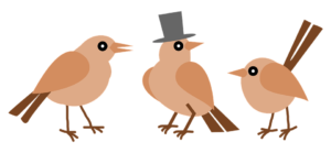 YINCANA de las AVES