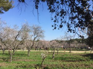 QUINTA DE LOS MOLINOS