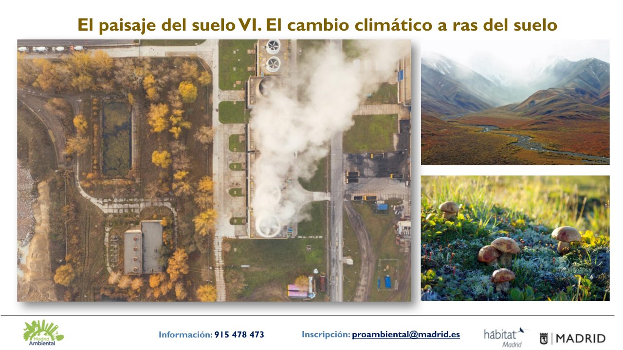 El paisaje del suelo VI. El cambio climático a ras del suelo – Programa