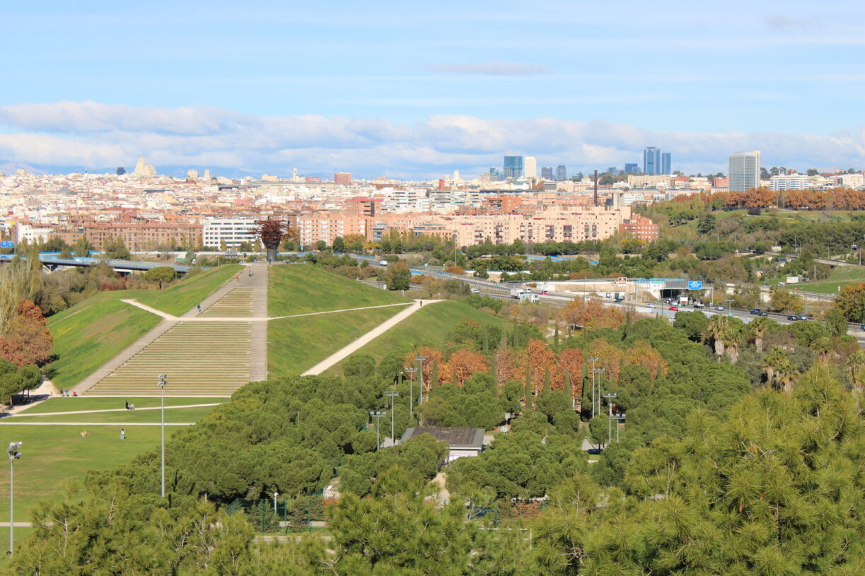 Aves que hemos visto hoy en… Parque Lineal del Manzanares – 12/11/2023 ...