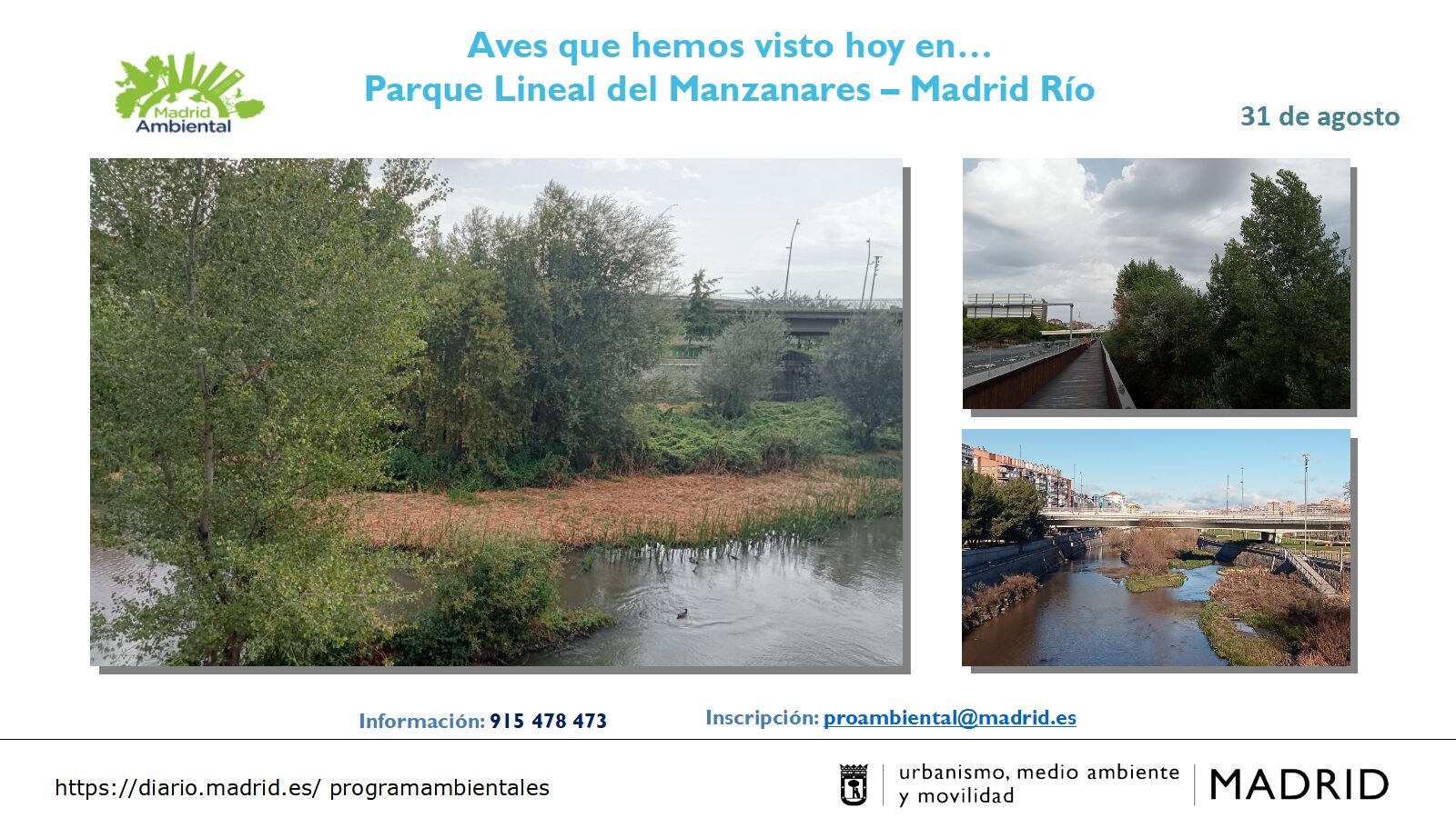 Aves que hemos visto hoy en… Parque Lineal del Manzanares – Madrid Río ...