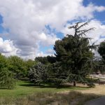 El Parque de los Arbolistos, al inicio de la visita guiada en la Semana del Medio Ambiente