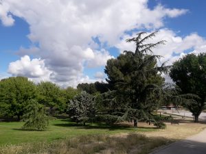 El Parque de los Arbolistos, al inicio de la visita guiada en la Semana del Medio Ambiente