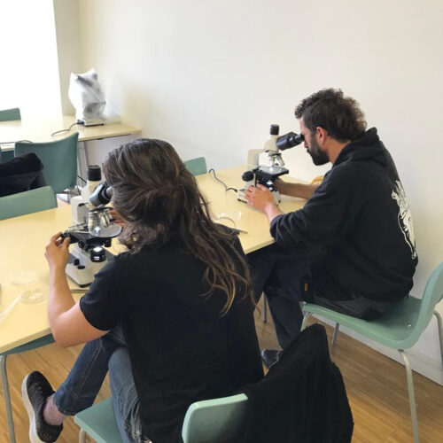 Imagen de archivo del taller de microscopios de la I Semana de la Ciencia