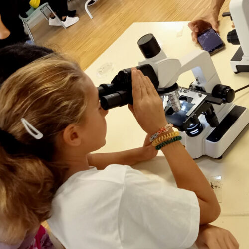 Imagen de archivo del taller de microscopios de la I Semana de la Ciencia