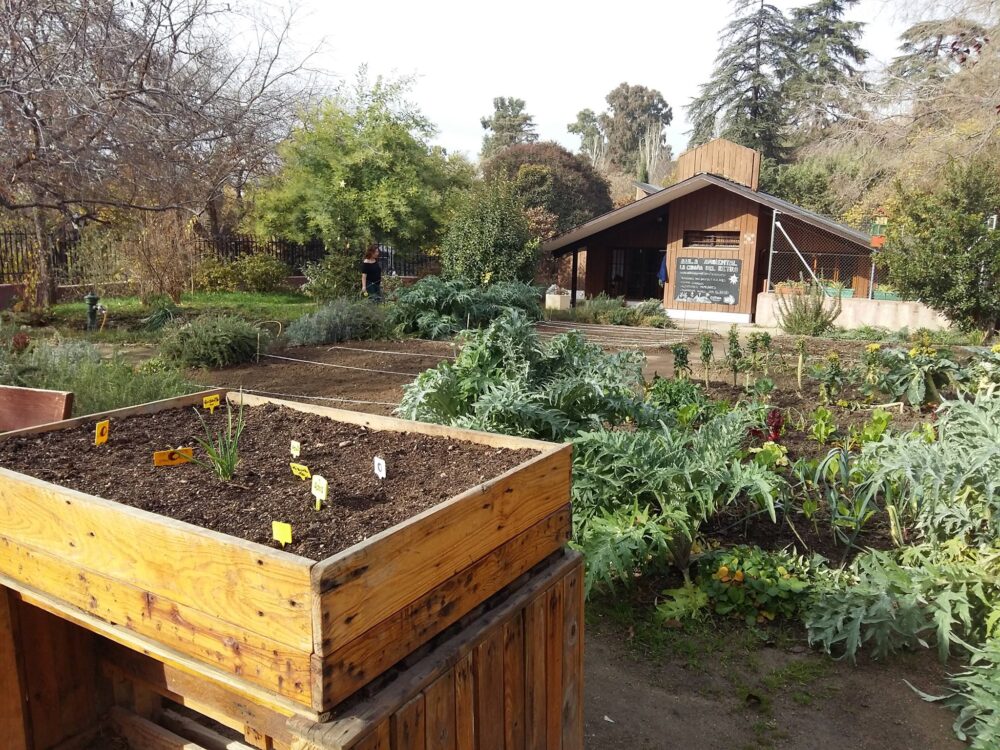 Primer plano caja de huerto y al fondo La Cabaña del Retiro