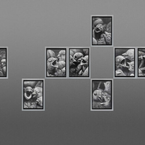 Composición en blanco y negro de Sebastian-Bona. Primer premio del certamen