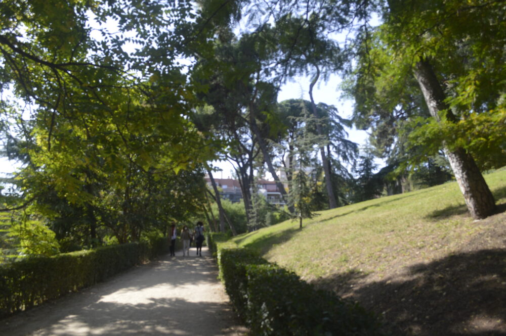 Camino del Retiro