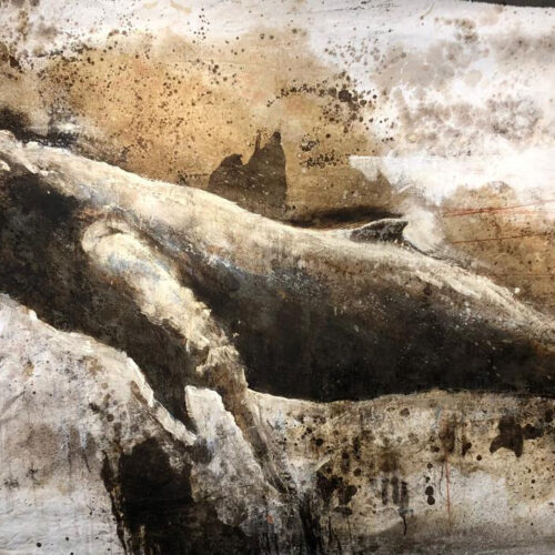 Pinturas de animales marinos en grises y sepia