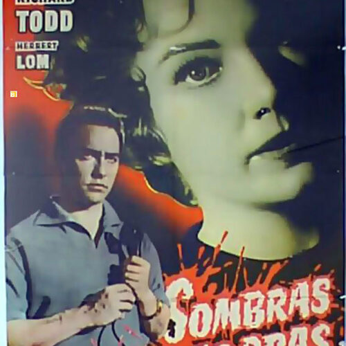 Cartel de la película 'Sombras acusadoras'