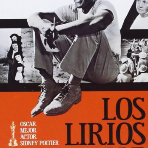 Cartel de la película 'Los lirios del valle'