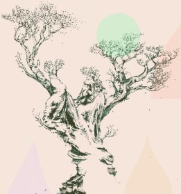 Dibujo de una árbol