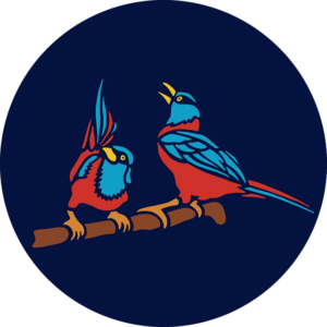 Dibujo en color de dos pájaros