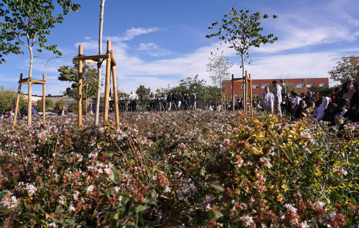 Jardines del Profesor Luis Madrid Pastor