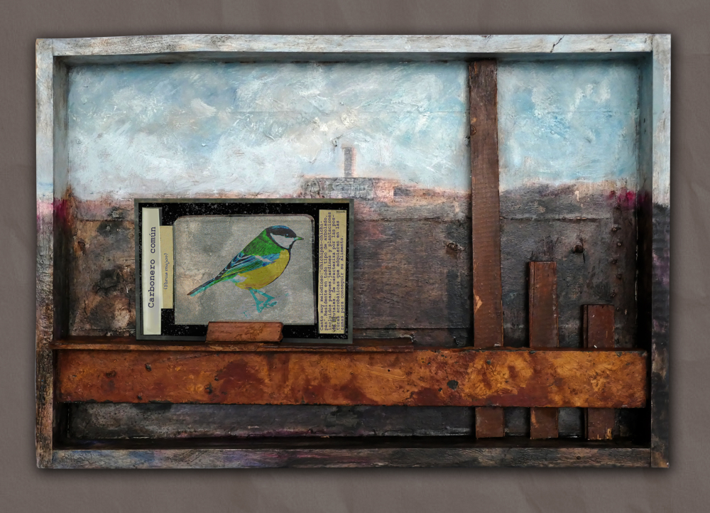 Exposición Cerro Testigo, pájaros