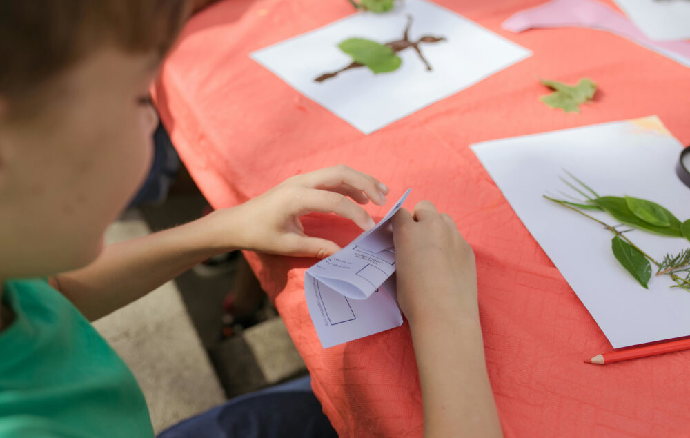 Imagen de un niño jugando con plantas en una mesa de color rojo