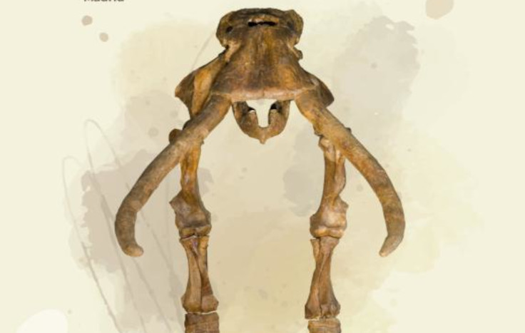 Esqueleto de un mamut