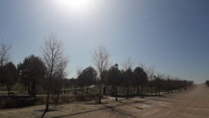 Imagen de un día soleado en el Parque Forestal Julio Alguacil