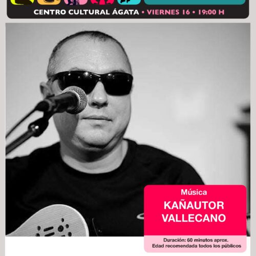 Imagen de un artista con una guitarra