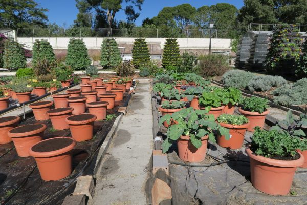 El invierno también tiene un color especial – Diario del Ayuntamiento