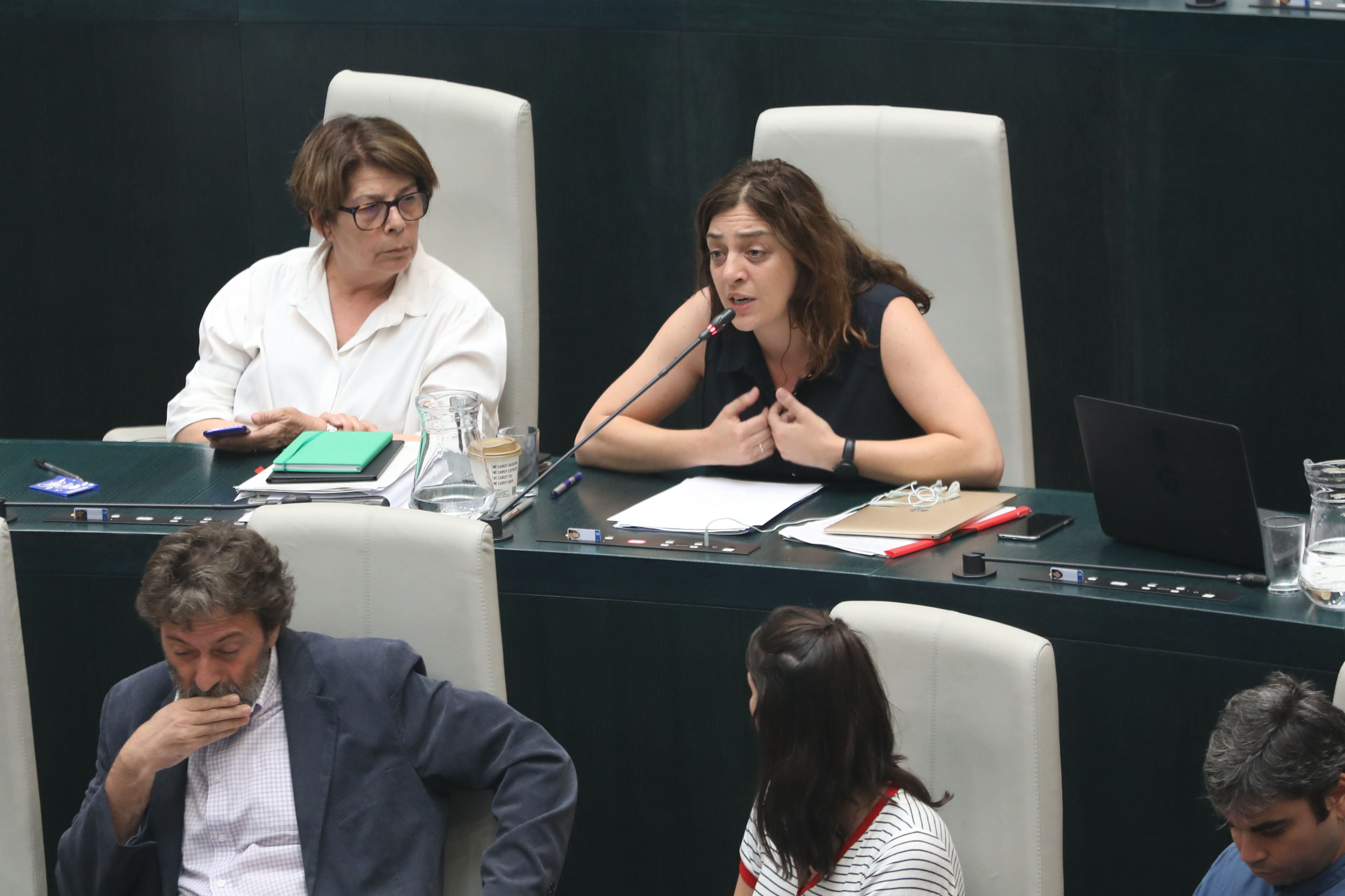 La delegada de Políticas de Género y Diversidad, Celia Mayer, durante el debate de la moción presentada por el Grupo Municipal Ahora Madrid