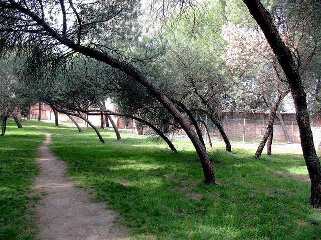 El Ayuntamiento de Madrid está acometiendo la mejora del parque Paseo Ermita-Villa Adriana. Actualmente se están realizando trabajos de poda y tala para mejorar el estado de las masas forestales y favorecer las condiciones estructurales del arbolado