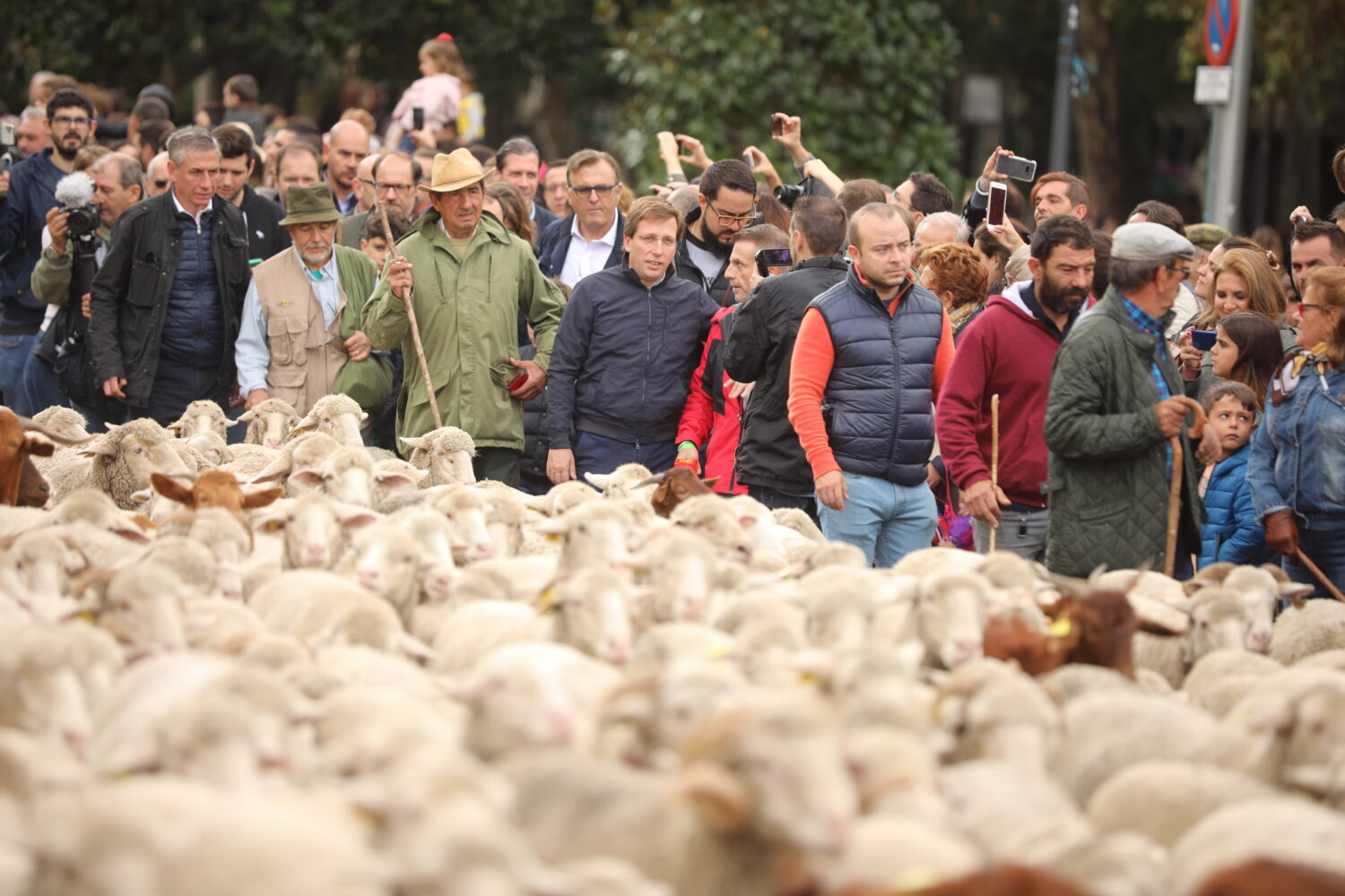 La Fiesta de la Trashumancia se celebra otra vez en las calles de