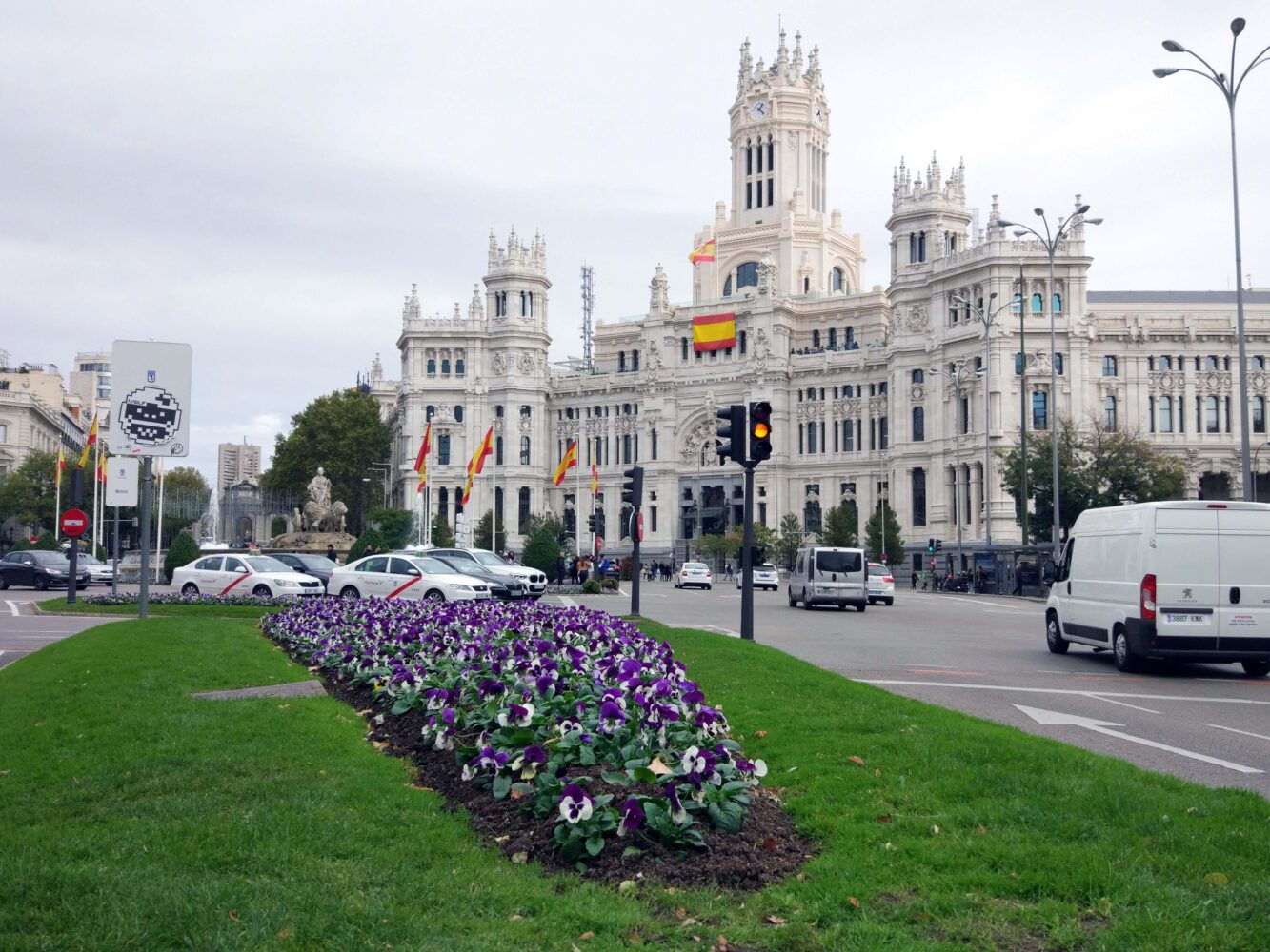 Más de 300.000 plantas de flor de invierno adornan las de Madrid – Diario del Ayuntamiento de Madrid