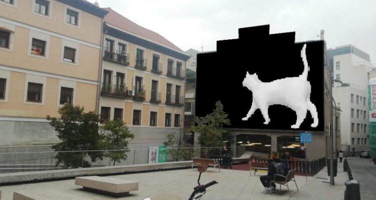 Almendra, un gato muy madrileño