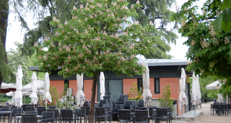 Terraza en el Jardín del Buen Retiro