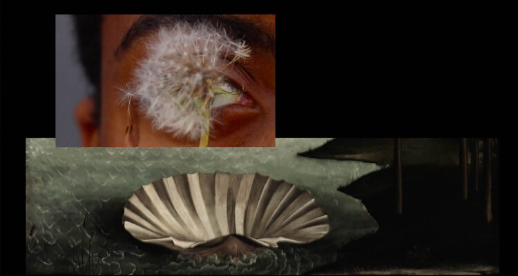 'Contra la raza' (Heidi Ramírez)