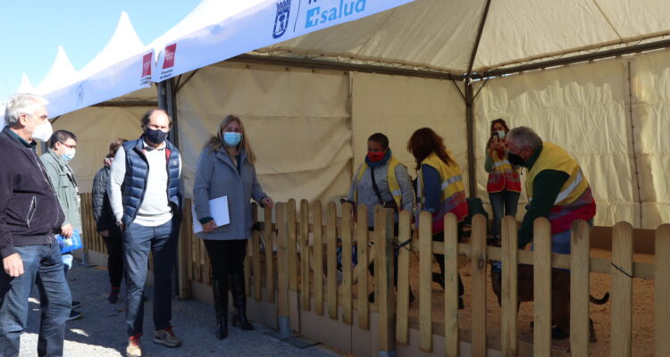 XVI Salón para la Adopción de Animales de Compañía