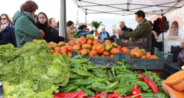 Mercado de Productores. Imagen de archivo