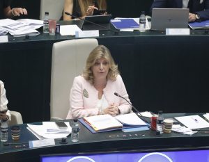 Engracia Hidalgo, delegada de Hacienda y Personal, este martes, durante una de sus intervenciones en la sesión plenaria