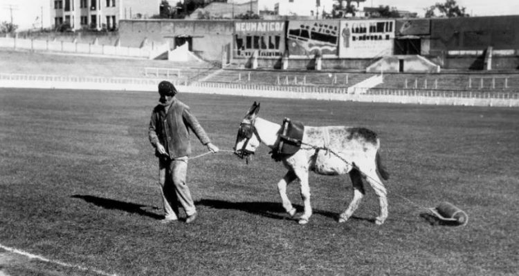 Un jardinero del Real Madrid cuidando el césped del estadio de Chamartín (1925)