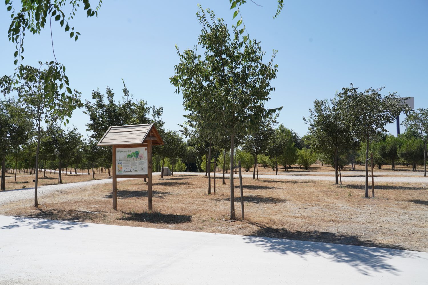 Madrid planta 90.620 árboles en la mayor campaña de plantación de su  historia – Diario del Ayuntamiento de Madrid