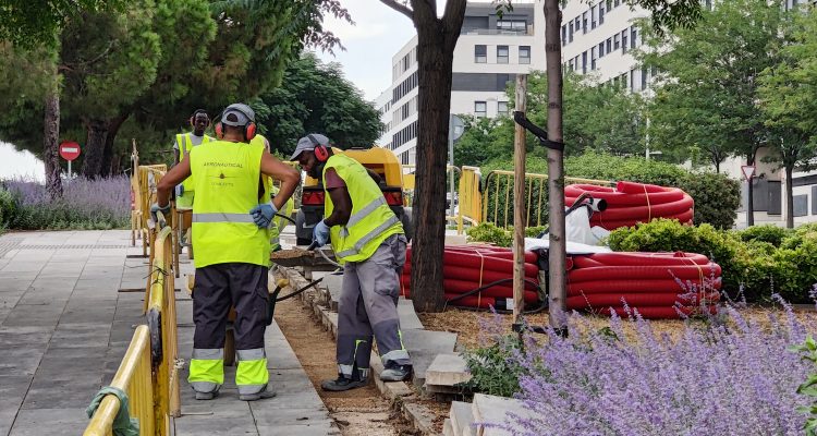 Obras proyecto alumbrado público en avenida Juan Antonio Samaranch