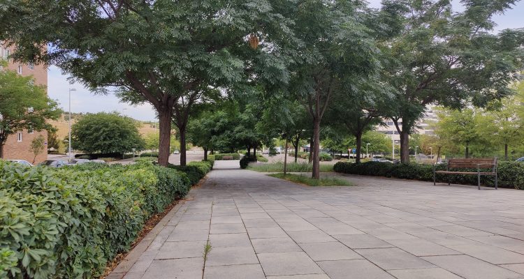 Obras proyecto alumbrado público en avenida Juan Antonio Samaranch