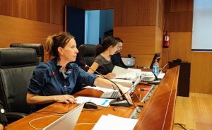 Imagen del pleno de presupuestos en Villaverde