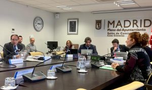 Carabante, durante la comisión celebrada este jueves