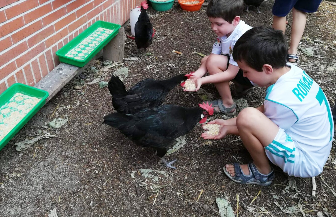 Niños con gallinas en el taller Fauna del Huerto
