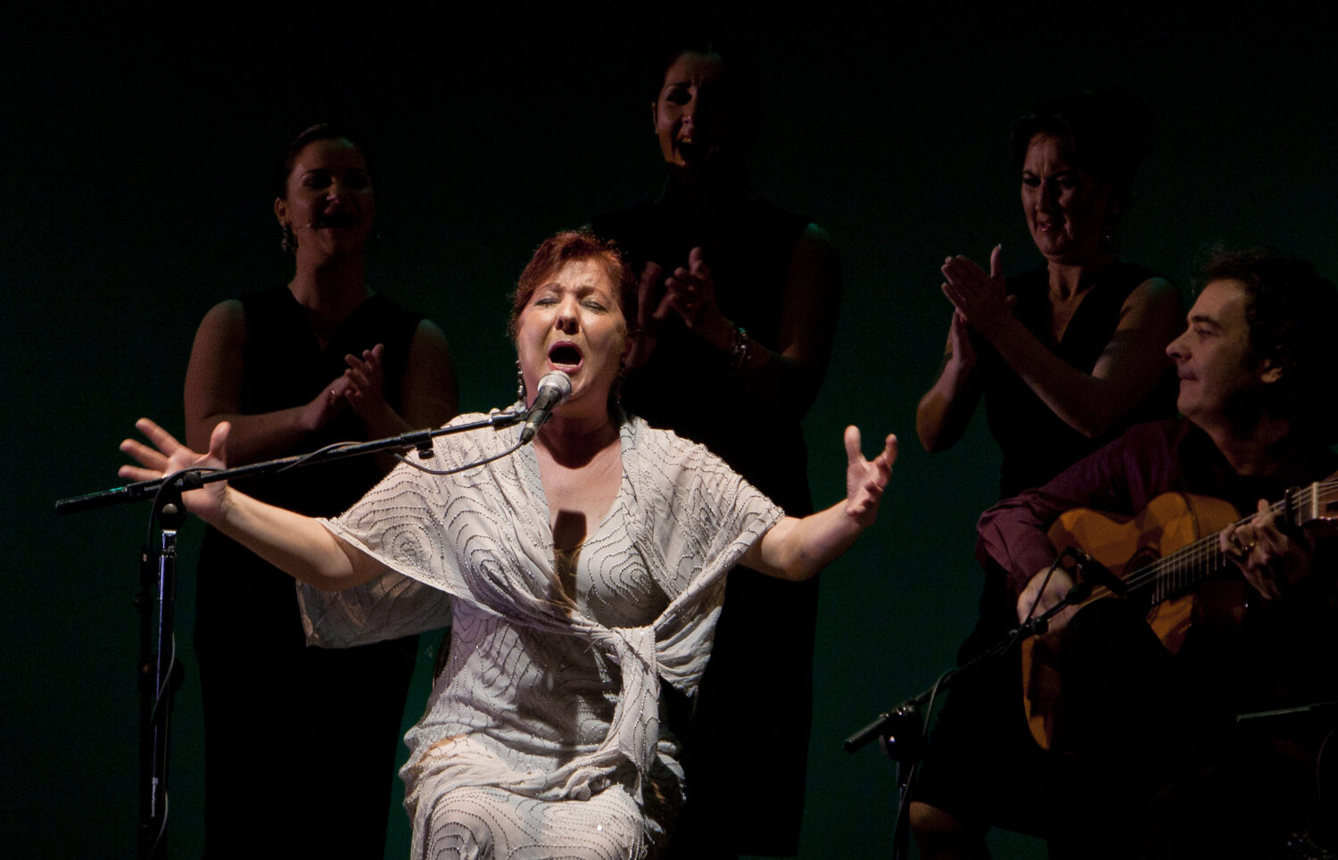 La cantaora Carmen Linares