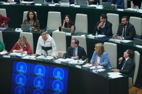 Rivera de la Cruz, este lunes, durante su intervención en el Pleno municipal